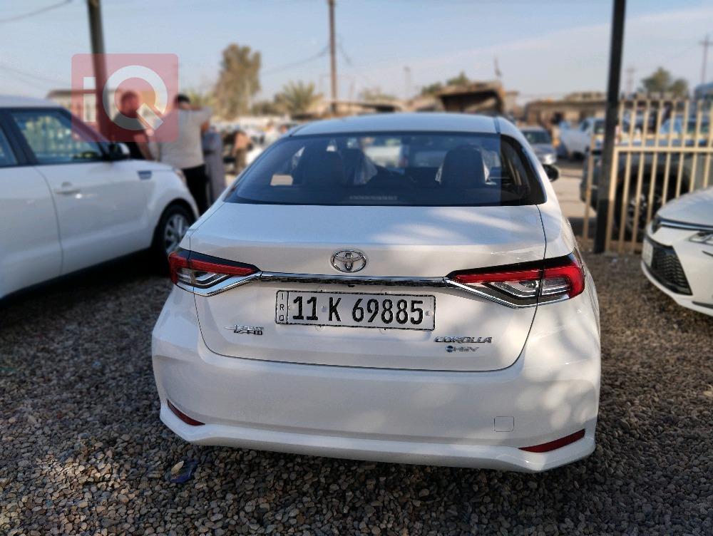 تويوتا كورولا